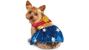 Check spelling or type a new query. Buy Wonder Woman Pet Costume Harvey Norman Au