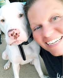 What breed do you think this dog is?