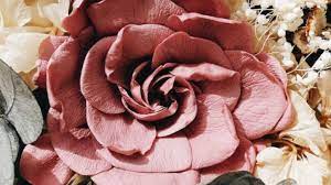 You're in love with someone very special. Flores Para Toda La Vida 1024x576 Arvensis Agro