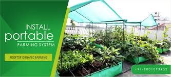 The traditional way of growing outdoors with regular potting soil has so many challenges such as time, energy, the environment and your convenience. Organic Farming In Jaipur Rooftop Kitchen Garden Thelivinggreens Com