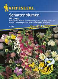 Im tiefen schatten gedeihen lilientraube, tränendes herz, schaumblüte, immergrün und prachtspiere. Kiepenkerl Blumen Saatgut Schattenblumen Mischung Ein Und Mehrjahr