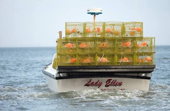 Maryland watermen will get funds to remove ‘ghost traps’ from Chesapeake Bay
