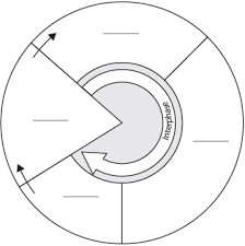 Https Www Graftonps Org Site Handlers Filedownload Ashx Moduleinstanceid 6167 Dataid 7980 Filename Worksheet 20cell 20cycle 20and 20mitosis Pdf