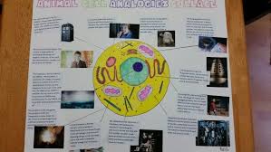 Check spelling or type a new query. Animal Cell Analogy Collage With Doctor Who The Cell Membrane Is The Tardis The Nucleus Is The Doctor Etc Cell Analogy Animal Cell Project Cells Project