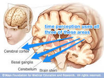 Image result