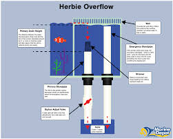 How Durso Herbie And Bean Animal Overflows Work Marine