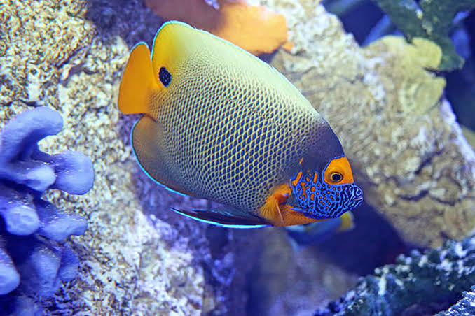 Maritime Aquarium at Norwalk