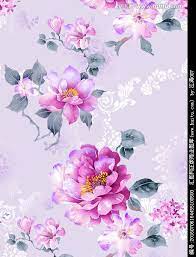 牡丹花水彩牡丹手绘牡丹 watercolor flowers vector flowers painting