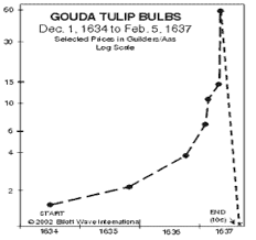 Image Result For Tulip Price Chart Tulip Bulbs Tulips