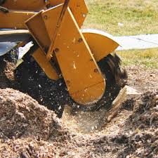 Stump removal in hillsborough, nc is one of the most difficult aspects of tree removal and it requires a great deal of experience and savvy to do the job and while stump grinding machines offer much assistance in the process, the location of the stumps being removed is often so precarious that the. Stump Grinding Service Affordable Tree Services