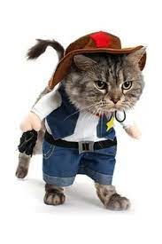 dogstory kabadayi serif kedi kopek kiyafeti parti kostumu gezdirme giysisi pet 001 trendyol pet costumes cat halloween costume cat costumes