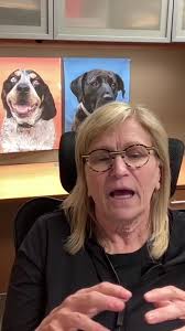 One of the most over looked modalities for c@ncer is FOOD THERAPY ⬇️ , Our  dogs are facultative carnivores. Our cats are obligate carnivores. There's  no biological need for grains or legumes in their ...