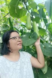 Image result for Lagenaria rufa