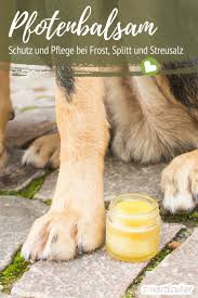 um die pfoten deines vierbeiner auch im winter zu schutzen und zu pflegen kannst du einen balsam aus naturlichen zutaten selber machen hund hundepfoten hunde