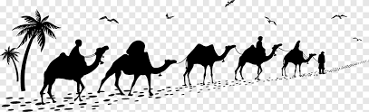 A wheeled vehicle for living or travelling in, especially for holidays, that contains beds and…. Silhouette Of Man Followed By Three Camels Camel Train Caravan Camel Caravan Silhouette Mammal Monochrome Png Pngegg