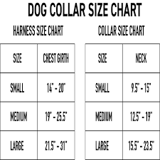 We did not find results for: Donut Dog Collar Section 119
