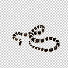 Download in under 30 seconds. California Kingsnake Ball Python Corn Snake Reptile Png Clipart Animal Animals Body Jewelry Cartoon Snake Cobra