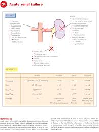 Image result for Postrenal Failure
