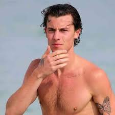 Shawn Mendes estaria tendo um caso com o cantor americano Omar Apollo -  Famosos | Entretenimento