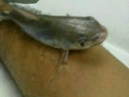 Bank rakyat pembiayaan peribadi, shah alam, malaysia. Bank Bank Rakyat Subang Perdana Nearby Shah Alam In Malaysia 6 Reviews Address Website Maps Me