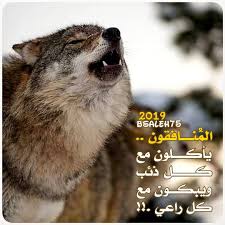 كلمات تحفيز وتشجيع حفز نفسك للتحميل الصور المرجو الضغط عل الصورة Movie Posters Poster Movies