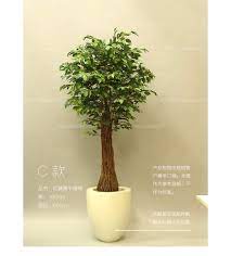 美空高仿真榕树大中型真树干假树植物装饰酒店大厅绿植造型树枝