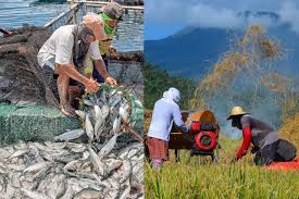 > science update > covid 19 media surveillance 8 april 2021. Farming Fishing And Food Value Chain Activities Continue Under Extended Ecq Official Portal Of The Department Of Agriculture