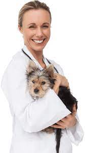 We did not find results for: Become A Provider West Coast Pet Memorial Services