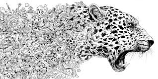 Valentine's day coloring pages from hallmark. Animorphia An Extreme Coloring And Search Challenge Rosanes Kerby 9780147518361 Amazon Com Books