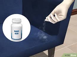 Clover mites feed on plant fluids, such as grass, and are common outdoors around most buildings. 3 Ways To Get Rid Of Clover Mites Wikihow