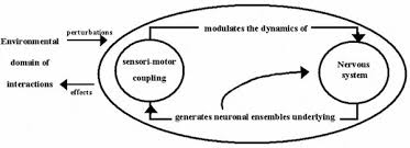 The realization of the living. From Autopoiesis To Neurophenomenology Francisco Varela S Exploration Of The Biophysics Of Being