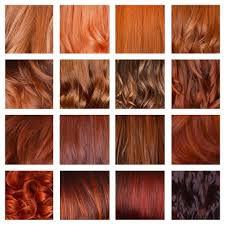 Client I Want Red Hair Colorist Amazing So You Thinking Like A Deep Red Or What About A Ruby Co Ginger Hair Color Hair Color Auburn Copper Hair Color