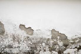 Get her wet in 7 easy steps. How To Remove Fix Moisture In Walls 10 Important Tips