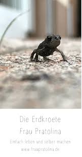 Tierportrait Die Erdkrote In 2020 Krote Garten Tiere