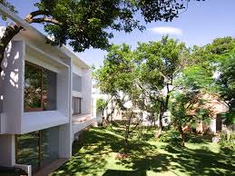 Tambahkan kolam ikan untuk mempercantik taman di rumah. 10 Jenis Pohon Peneduh Rumah Flokq Coliving Jakarta Blog
