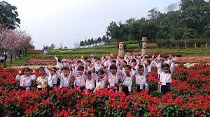 這幾天的天氣總算也回暖囉 小編也忍不住穿起短袖了呢 但不久好像又要變天了 看到這麼多小朋友活蹦亂跳地來農場與花兒見面 今天的花兒也因小朋友們笑得燦爛 廢話不多說馬上把照片分享給各位粉粉們 感謝成德菁英幼 dolores park park