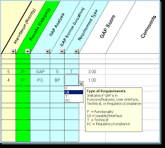 requirements identification fit gap analysis