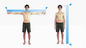 Alles zum thema wandern, bergsteigen und alpinismus. Adam Ondra 38 What Is The Best Body Type For Climbing Youtube
