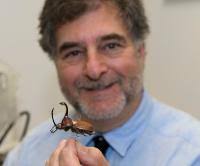 Beetles and a cup of joe