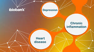 The bulk of the reports described heart inflammation appearing after the second of two doses of either the pfizer of moderna vaccines, both of which utilize messenger rna technology. News