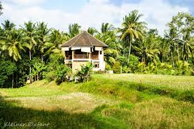 Safety guidelines are provided by haus yoga and were last updated on 5/6/21. Yoga Auf Bali Meine Liebsten Yogastudios In Ubud