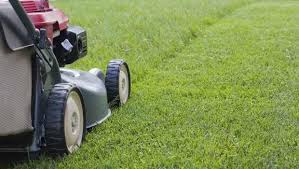 We did not find results for: Cutting Edge Lawn Care Gift Cards And Gift Certificates Cohoes Ny Giftrocket