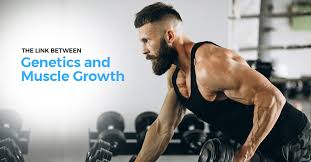 Buy unlock your muscle gene: The Link Between Genetics And Muscle Growth Issa