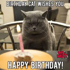Funny Happy Birthday Celebration Memes Funny Birthday Meme Cat Birthday Memes Happy Birthday Meme A meme is a meme because it is mostly shared on social media.