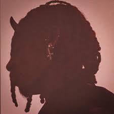 Want to discover art related to pfp? This Would Be Such A Hard Album Cover Playboicarti