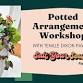 Potted Arrangement Workshop at Salt Your Soul Gift Co.
