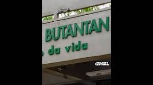 Get all the lyrics to songs by butantan and join the genius community of music scholars to learn the meaning behind the lyrics. Vem Com O Butantan Meme Da Vacina Youtube