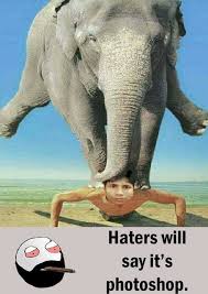 Funny face effect online every day! Create Funny Memes Using Photoshop By Isaacmaria2 Fiverr