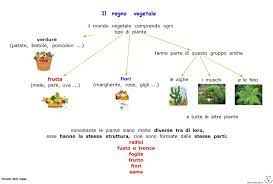 Mendaftarlah untuk deezer dan dengarkan il mondo vegetale oleh guerrilla farming dan 73 juta lagu lagi. Paradiso Delle Mappe Il Regno Vegetale