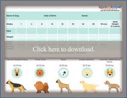 Printable Puppy Weight Charts Lovetoknow